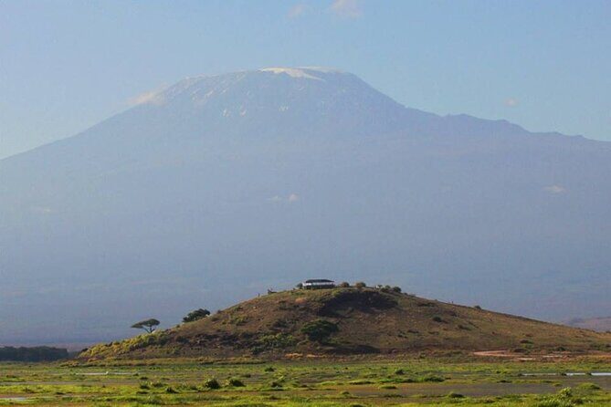 1-Day Amboseli Safari - Maasai Cultural Tour: Song, Dance, and Boma Villages