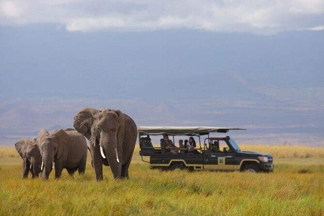 1-Day Amboseli Safari - From Nairobi at 5:00 am: Transfers, Comfort, and the Group Feel