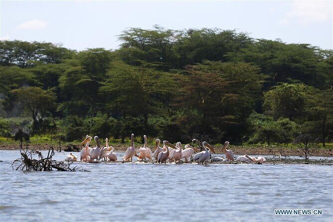 1 Day Bike Tour to Hell’s Gate And Lake Naivasha - Price and value: what $130 covers, and what costs extra