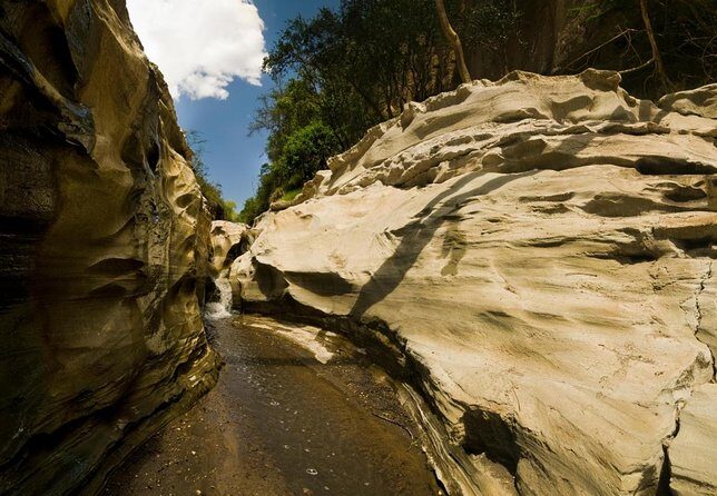 1 Day Hells Gate Biking Safari - Key things that make this Hell’s Gate bike safari work