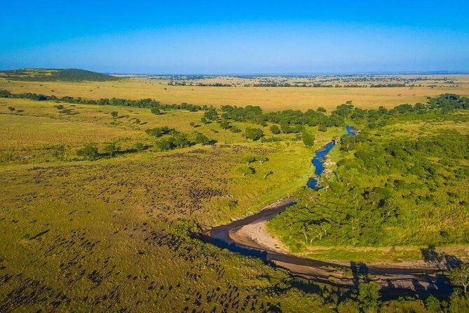 1-Day Maasai Mara Safari - Price and logistics: is $599 good value for one day?