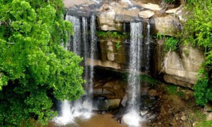 1 day Shimba Hills Tour - From your hotel to the gate: timing and travel reality