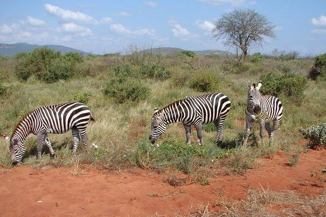 1-Day Tsavo East Safari From Mombasa - Key highlights that make this a smart 1-day choice