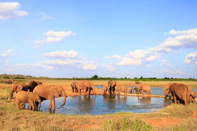 1-Day Tsavo East Safari From Mombasa - Getting to the park: the road time you should plan for