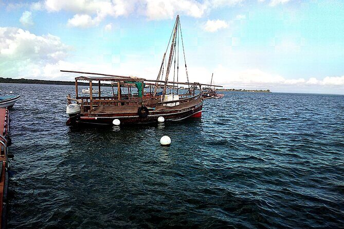 1 day wasini island ( Kisite Marine park) - The dolphin search: how the one-hour hunt really feels