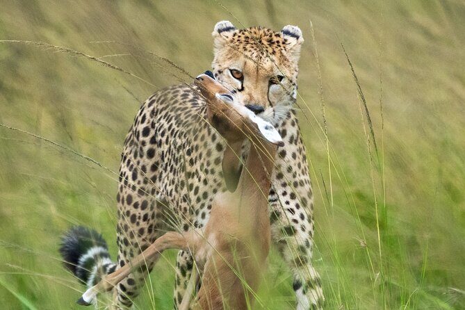 10-Day Private Tour in Big Five Safari and Beaches - Diani Beach: The Point of the Beach Stop (Not Just a Reward)