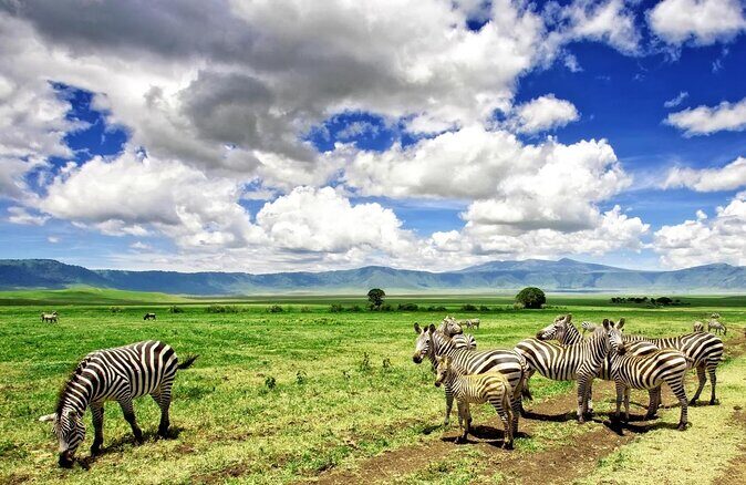 10 -Days Best of Kenya and Tanzania Classic Safari - Key highlights worth planning around