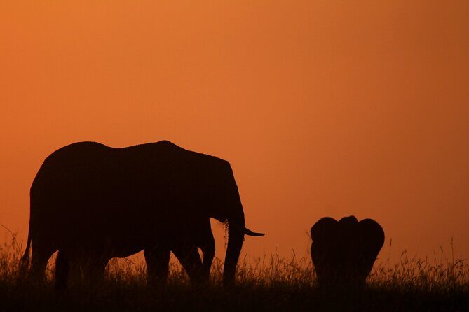 10 -Days Best of Kenya and Tanzania Classic Safari - Amboseli for Kilimanjaro views: elephants, open skies, and a Maasai village add-on