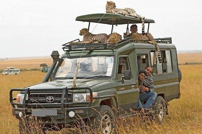 10-Days Explore Kenya Wildlife Private Safari - Samburu National Reserve: afternoon drive and a true sunrise chase