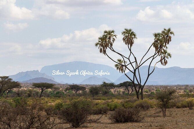 11-Day Serengeti, Maasai Mara, Tarangire, Amboseli Park - Price and Logistics