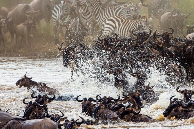 11-Days Best of Kenya & Tanzania Big 5 Safari on a 4x4 Jeep - Key highlights I’d circle before you book
