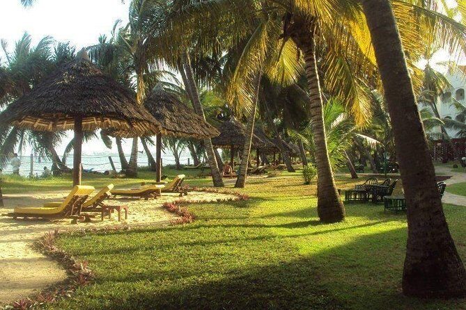 11-Days Kenya Zanzibar Safari - Nairobi to Zanzibar: the pivot from wildlife intensity to beach calm