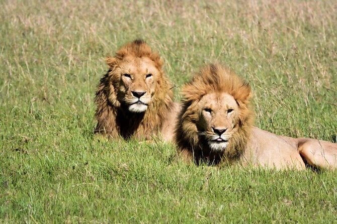 12 days Kenya and Tanzania safari private lodge from Nairobi - Rift Valley days: Lake Naivasha, Hell’s Gate, and Lake Nakuru black rhino