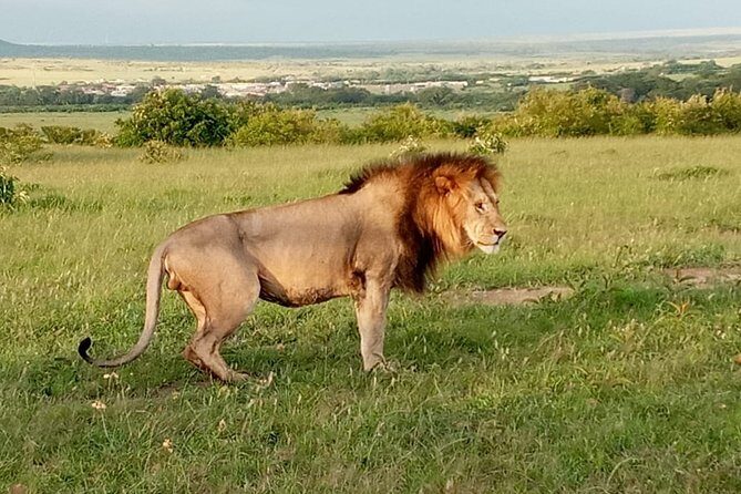 12 Days Samburu Ol-pejeta lake Nakuru Masai Mara lake Naivasha Amboseli safari - Nairobi night at 67 Airport Hotel and how the timing fits