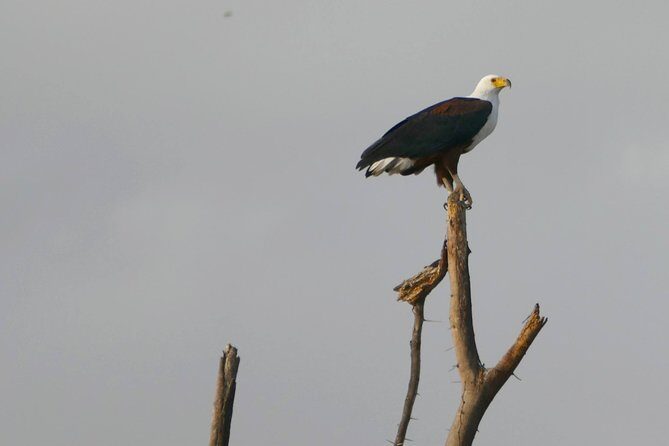 12 Days Samburu Ol-pejeta lake Nakuru Masai Mara lake Naivasha Amboseli safari - Lake Naivasha, Green Crater Lake walking safari, and the value of slow time