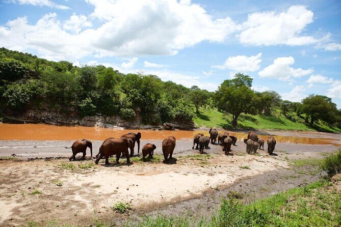 13-Day Private Wildlife Safari Tour of Kenya and Tanzania - Key Highlights You Should Know Before You Go