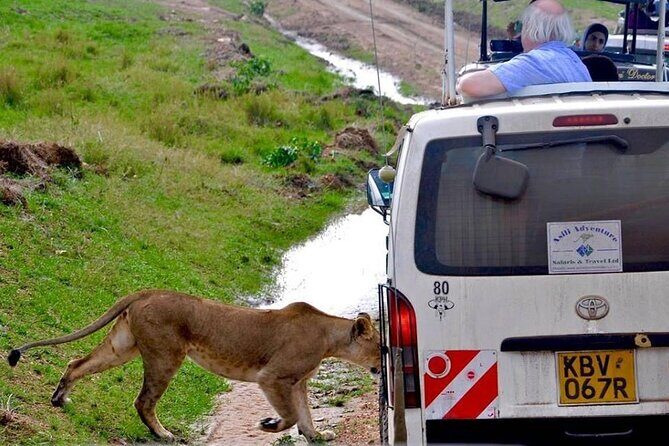 13-Day Private Wildlife Safari Tour of Kenya and Tanzania - Serengeti via Ndabaka Gate: Western Corridor Days With Big Herd Energy