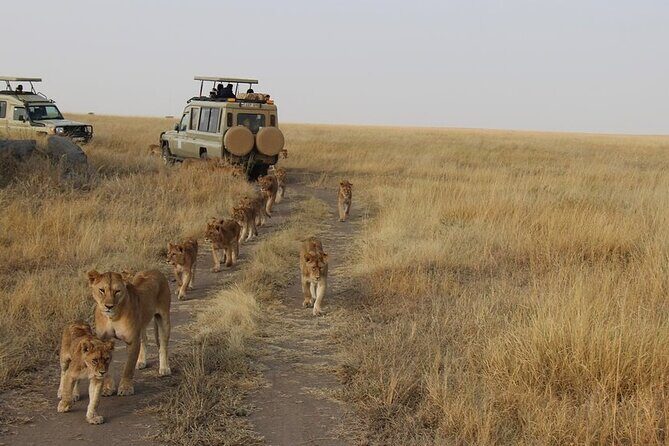 13-Day Private Wildlife Safari Tour of Kenya and Tanzania - Samburu National Reserve: Springs, Giraffes, and River Monsters
