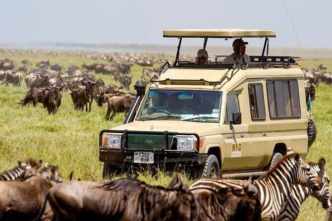 13 Days Best of Kenya and Tanzania BudgetSafari - Key highlights that make this safari work