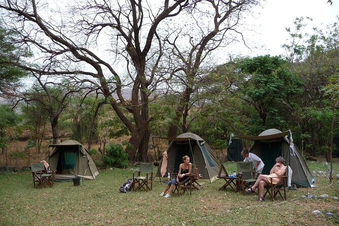 14-Days Kenya and Tanzania Camping Safari from Nairobi - Serengeti National Park: two days that actually let you work the sightings