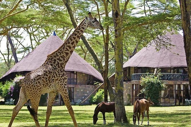 15 Days Classic Kenya & Tanzania + Zanzibar Beach Holiday - Zanzibar at Uroa Bay: your real beach reset