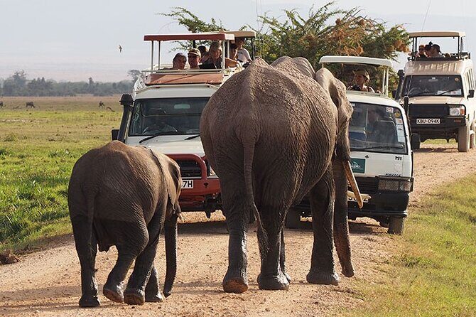 2-Day all inclusive safari to Amboseli National park from Nairobi - Day 1: Emali Stop, Lunch Break, Then the 4 pm Wildlife Window