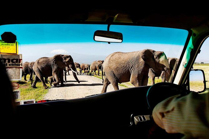 2-Day Amboseli National Park Safari- Daily Departures - Key things to know before you go