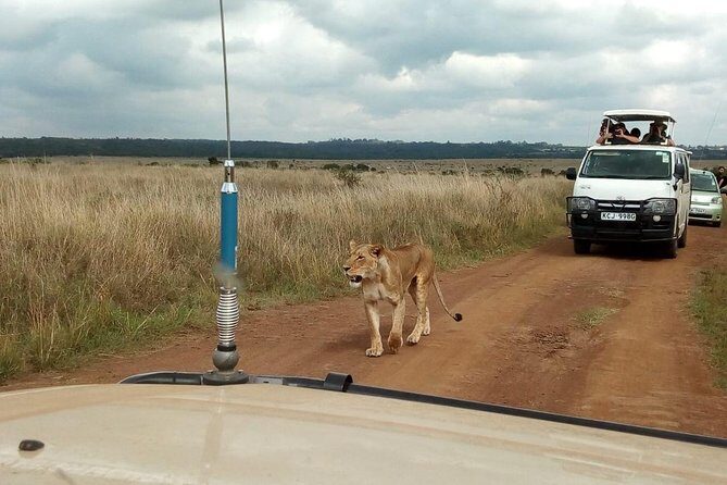 2-Day Amboseli National Park Safari- Daily Departures - Why Amboseli + Kilimanjaro makes a smart two-day choice