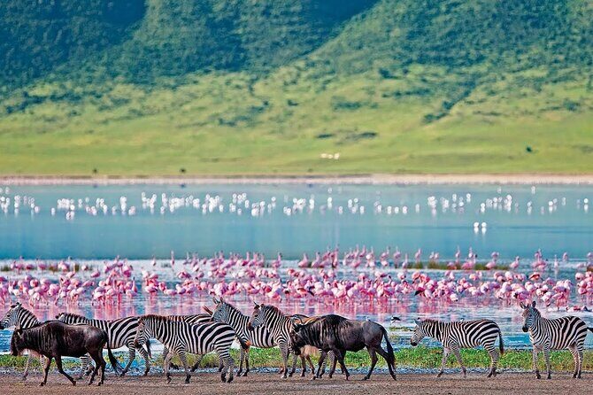 2-Day Hell's Gate, Crescent Island and Nakuru - Private Safari - Key highlights you’ll feel fast