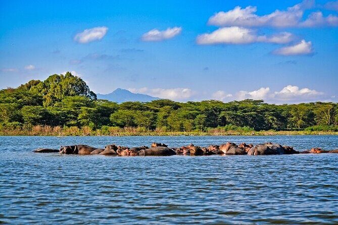 2-Day Hell's Gate, Crescent Island and Nakuru - Private Safari - Should you book this private Nairobi safari?