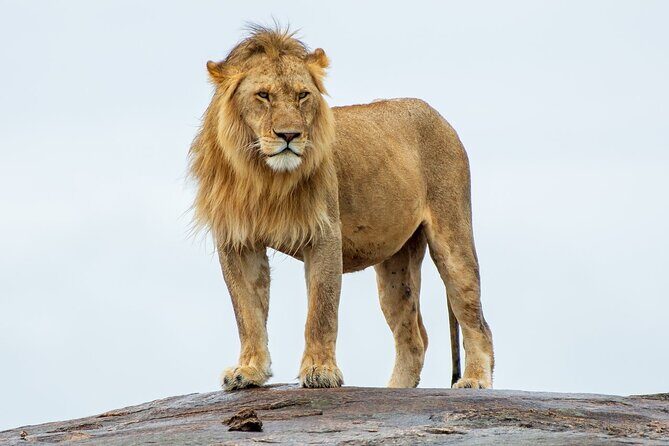 2-Day Tsavo East Private Tour - Key things that make this 2-day Tsavo East private safari work
