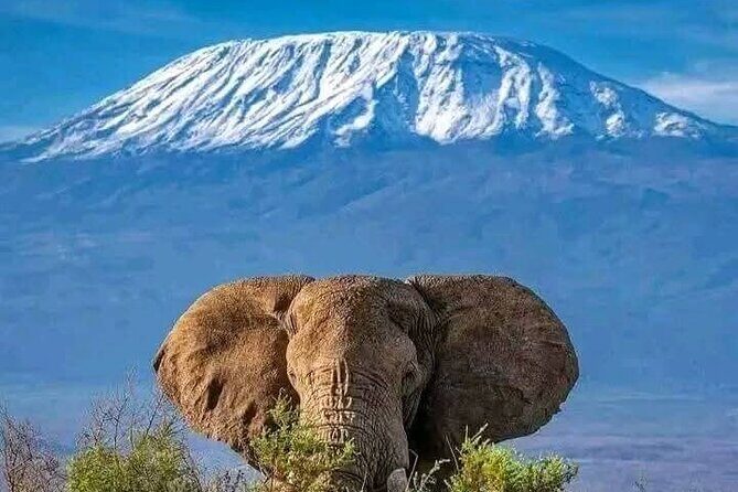 2 Days 1 Night Amboseli National Park Private Safari. - Price and Value: What $470 Per Person Includes (and What It Doesn’t)