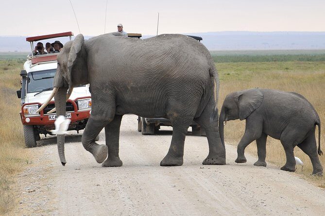 2 Days Amboseli Getaway Trip - Who this Amboseli trip is perfect for (and who should reconsider)