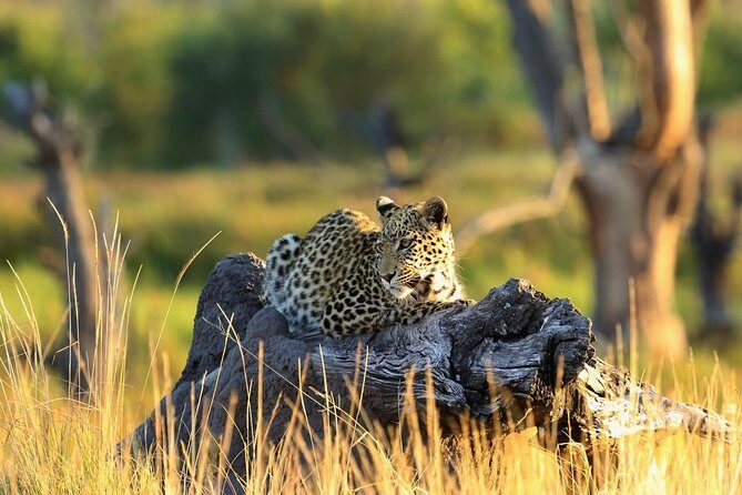 2 Days Amboseli National Park Safari - Key Takeaways Before You Go
