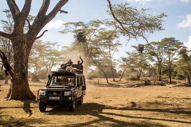 2 days Amboseli National Park Safari - Who should book this Amboseli safari