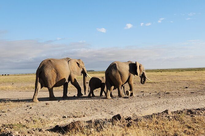 2 Days Amboseli Park Overnight Private Safari - Nairobi Pickup, Private Pace, and What You Actually Pay For