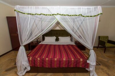2 Days Amboseli Safari - Day 1 Game Drive From 4:00pm: Wildebeest, Zebras, Lions, and the Big Herds