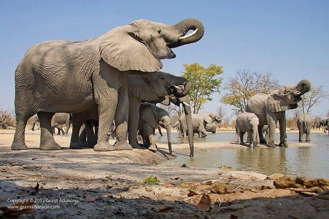2 Days Amboseli Safari Adventure from Nairobi Classic Game Drives - Key highlights to know before you go