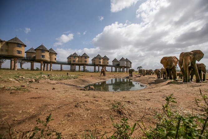 2 Days Kenya Safari special Tsavo East and Taita hills Saltlick from Mombasa - Leaving Mombasa Early: The 05:25 Start and Why It’s Worth It