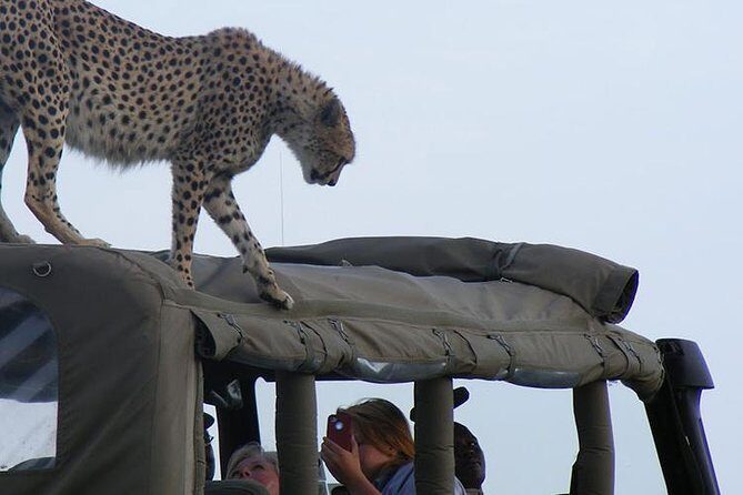 2 Days Masai Mara Private Safari From Nairobi - How to Pack for Smart Casual and Long Safari Hours