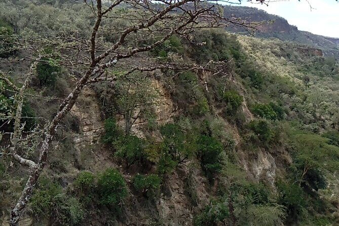 2 Days Private Tour to Lake Nakuru and Hell's Gate Park - Two Parks, Two Moods: Hell’s Gate Then Lake Nakuru