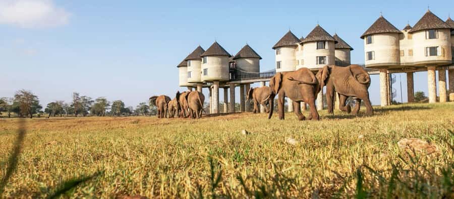 2 days Tsavo East and saltlick safari from Diani/Mombasa - Tsavo East + Taita Hills in 2 days: a tight route with real payoff