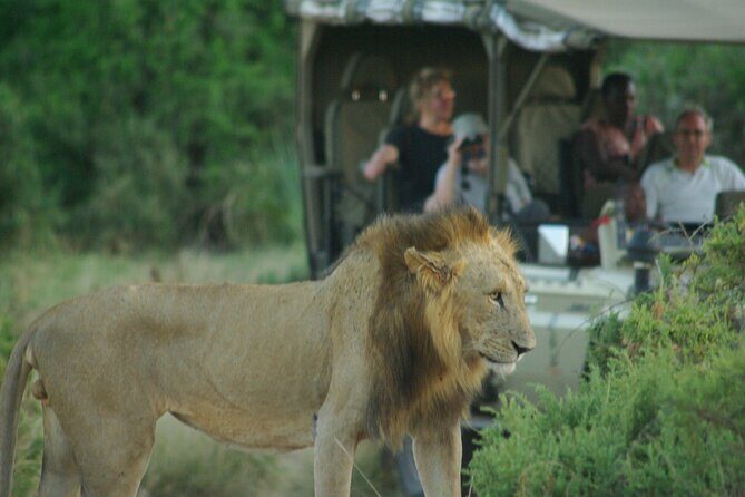 2 nights 3 days Masai Mara safari package - Entering Maasai Mara from Nairobi: The Big-Picture Setup