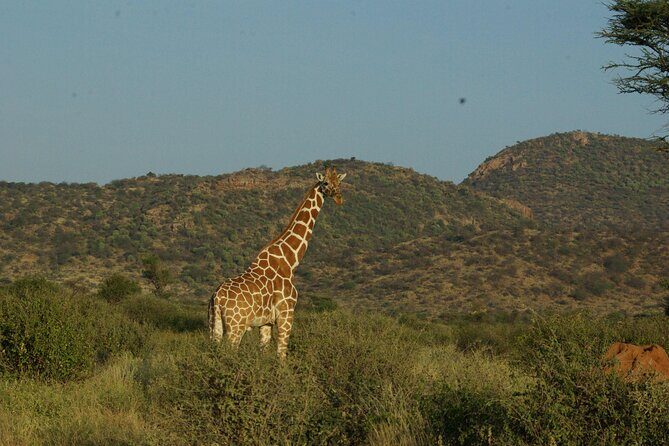 2 nights 3 days Masai Mara safari package - Practical Tips I Recommend Before You Go