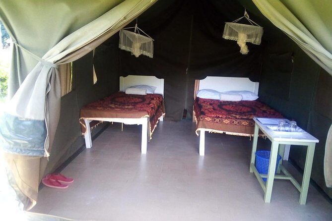 3-DAY Best Maasai Mara Safari (POPULAR) - Day 2: Full-Day Maasai Mara Safari to the Mara River (Migration Country)
