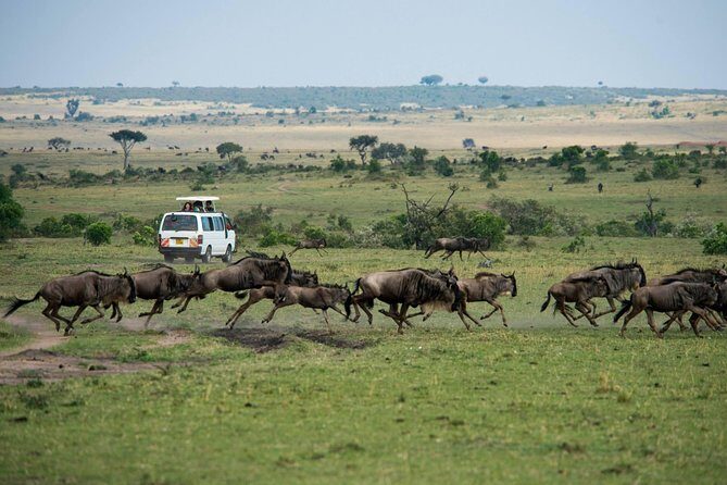 3-DAY Best Maasai Mara Safari (POPULAR) - Day 1: Great Rift Valley Viewpoints, Narok Town, and a Mara Sunset Drive