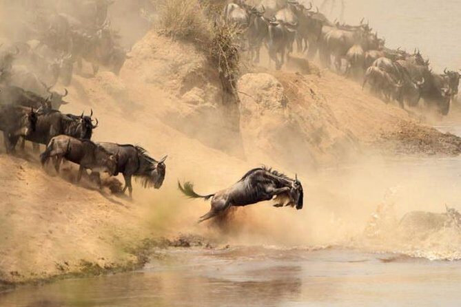 3-Day Budget Maasai Mara Joining Safari with 4x4 LandCruiser Jeep - What’s Actually Included (And Why That Matters for Value)