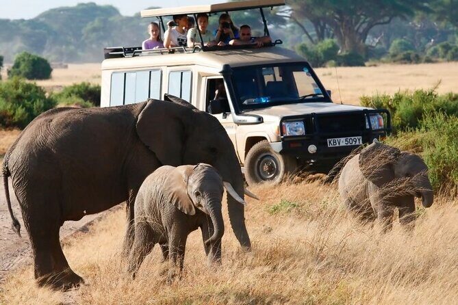 3-Day Budget Maasai Mara Joining Safari with 4x4 LandCruiser Jeep - Day 1: Land Into the Mara, Then the Best Kind of Evening Drive