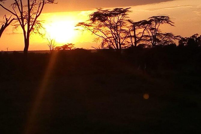 3-day Budget Safari To Maasai Mara - Price and logistics: what $375 covers (and what you must budget)