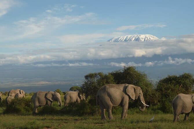 3 Day Exploring Amboseli National Park - Key highlights worth your attention